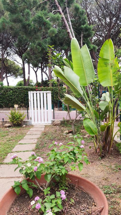 Villino Sunshine Villa Santa Margherita di Pula Exterior photo
